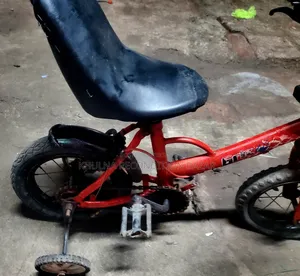 মডিফাই করা বাচ্চাদের সাইকেল