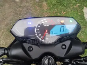 New Bajaj Pulsar 250 2024 Black