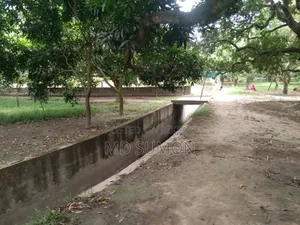 মাটি বিক্রি করা হইবে