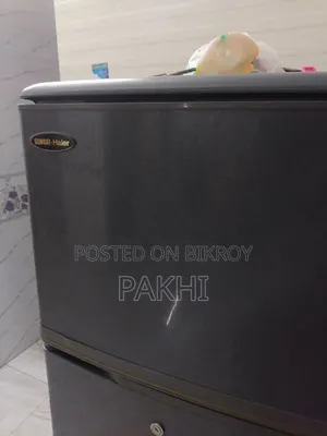 Haier Brand Freeze Double Door Fresh Condition