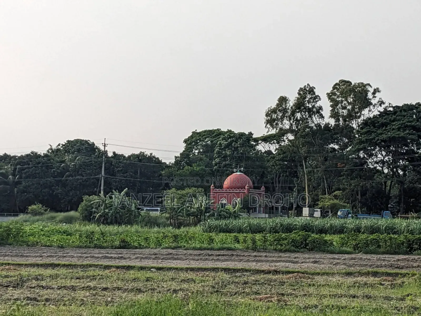 সিরাজদিখান, মুন্সিগঞ্জ; ৩২২ শতাংশ পৈতৃক জমি ৫টি পর্চায় বিক্রয় হবে!