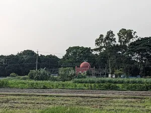 সিরাজদিখান, মুন্সিগঞ্জ; ৩২২ শতাংশ পৈতৃক জমি ৫টি পর্চায় বিক্রয় হবে!