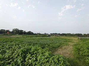 সিরাজদিখান, মুন্সিগঞ্জ; ৩২২ শতাংশ পৈতৃক জমি ৫টি পর্চায় বিক্রয় হবে!