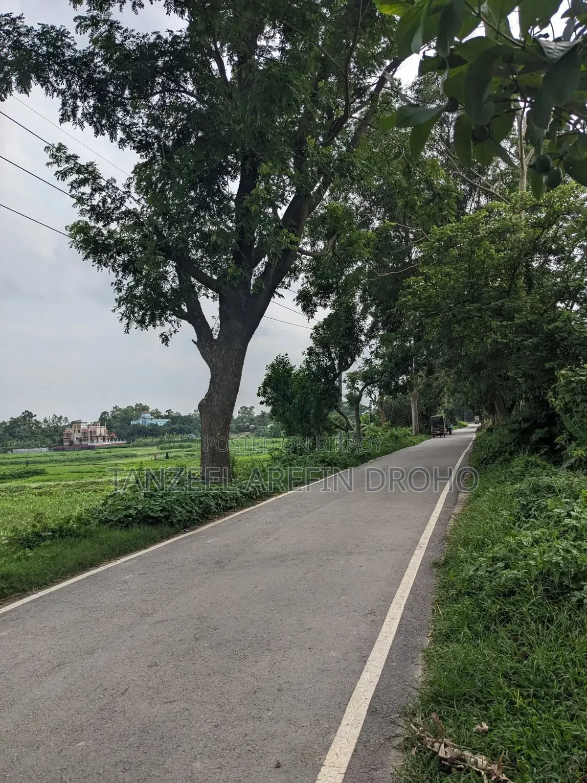 সিরাজদিখান, মুন্সিগঞ্জ; ৩২২ শতাংশ পৈতৃক জমি ৫টি পর্চায় বিক্রয় হবে!