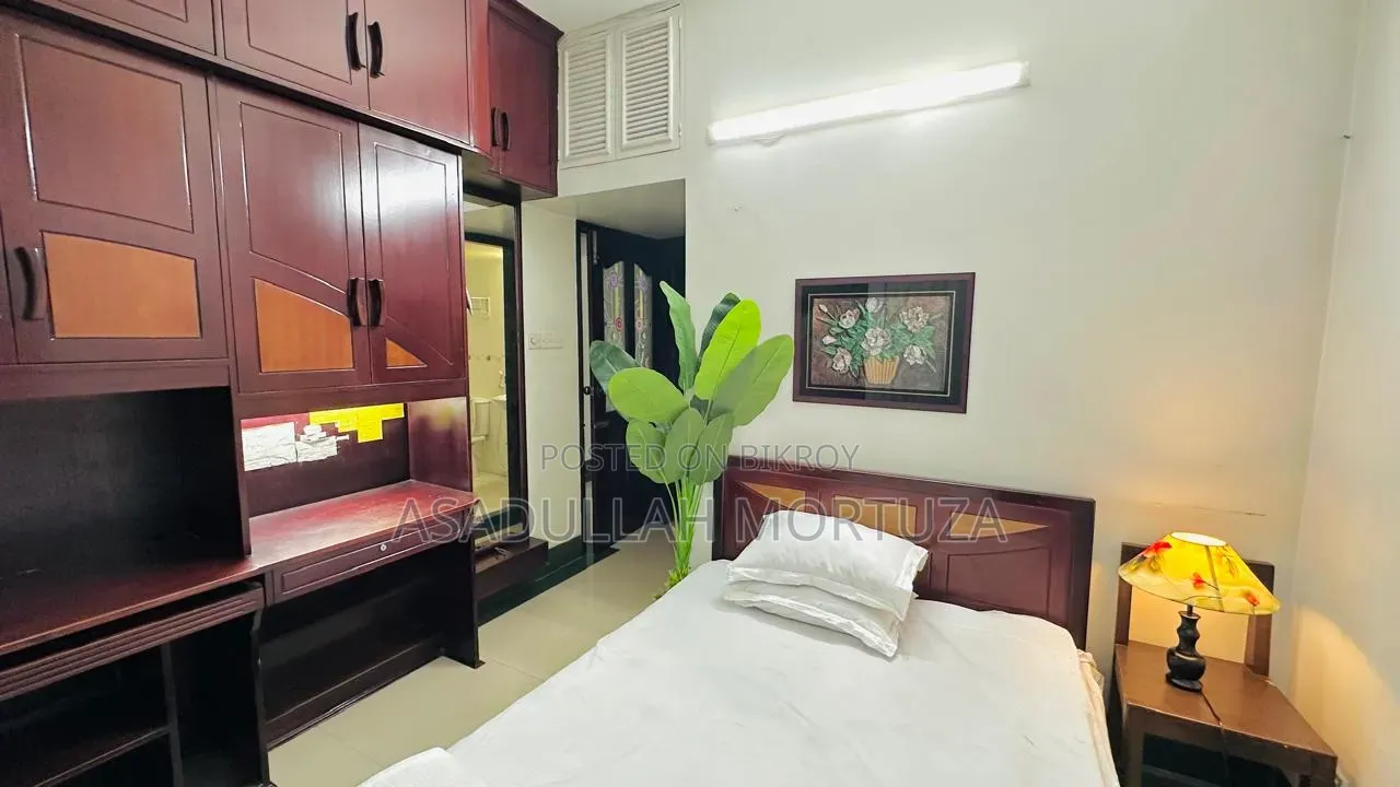 Furnished 3 Bedroom Apartment in Mirpur for Rent