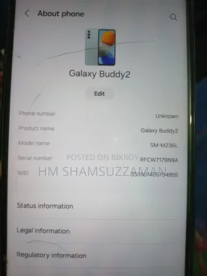 Samsung Galaxy Buddy 2 128 GB Green