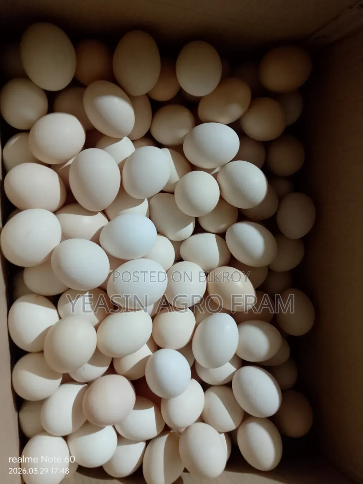 দেশি মুরগী ডিম বিক্রি করা হবে