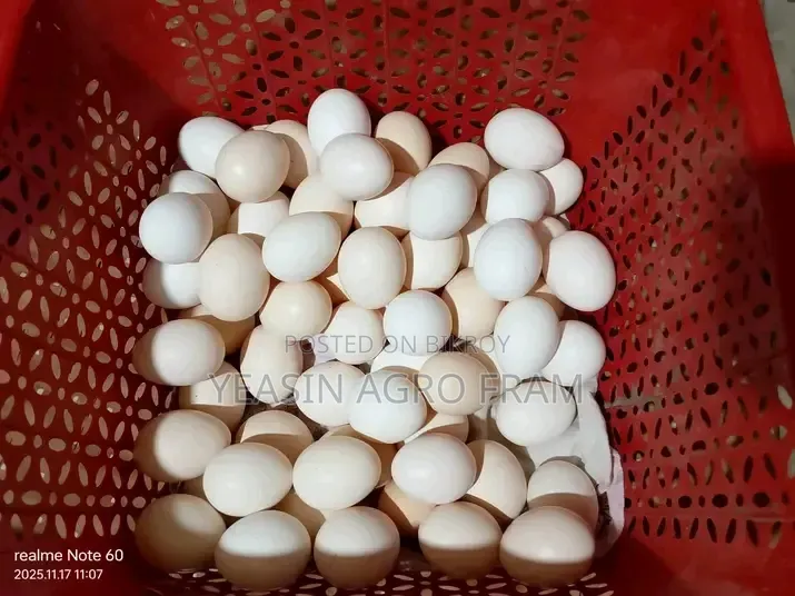দেশি মুরগী ডিম বিক্রি করা হবে