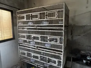 ৯ থর ইউজড কেইজ ফর সেল