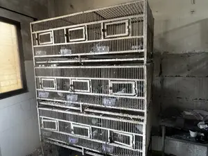 ৯ থর ইউজড কেইজ ফর সেল