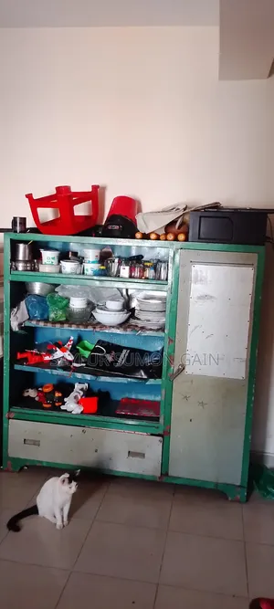 Steel Er Showkag