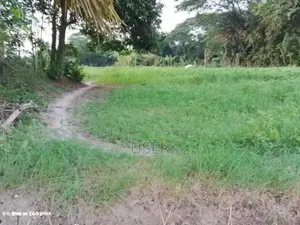 জরুরী বিক্রয়