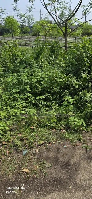 রাজউক পূর্বাচল ১০ কাঠার বরাদ্দকৃত প্লট