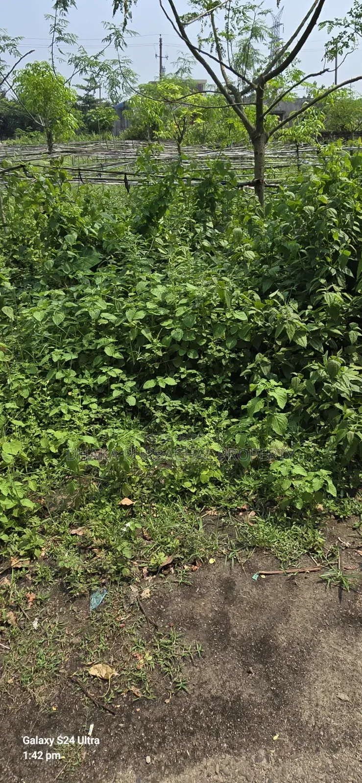 Rajuk Purbachal 10 Katha Allotted Plot