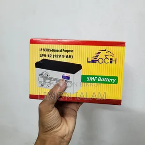 ইউপিএস ১২ ভোল্ট ব্যাটারি