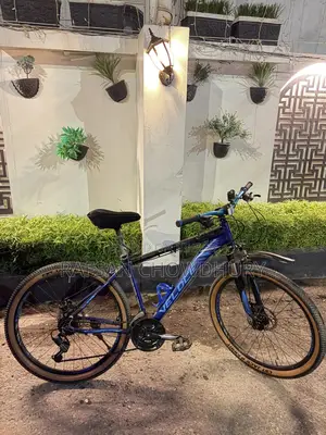 দীর্ঘ যাত্রার জন্য মডিফাই করা Veloce 601 সাইকেল