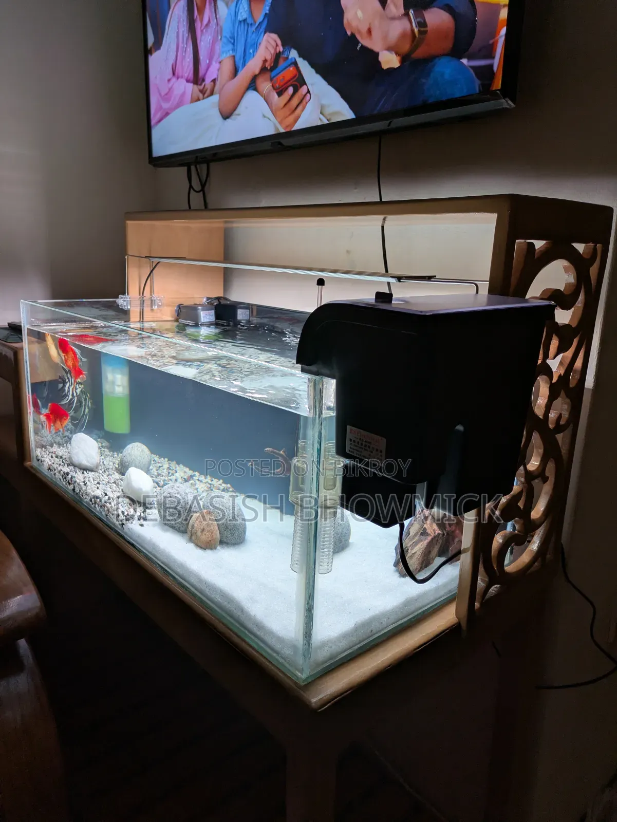 30" Crystal Glass Aquarium