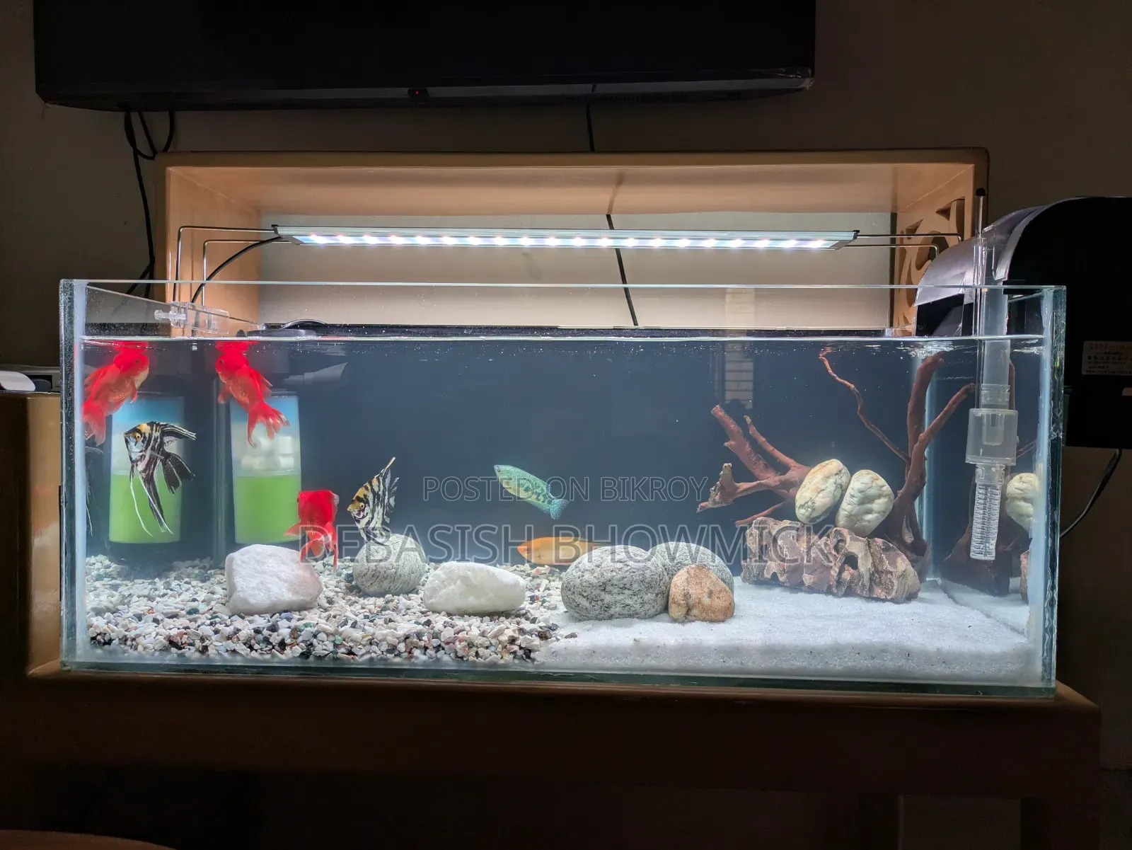 30" Crystal Glass Aquarium