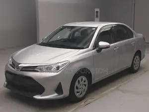 Toyota Axio 2021 Silver