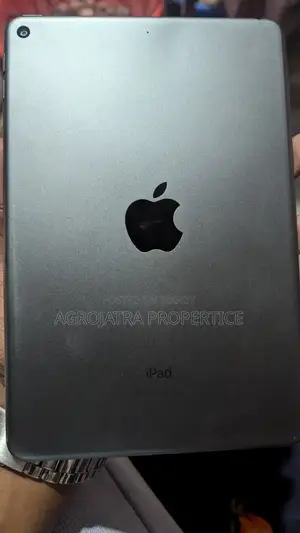 Apple iPad Mini 5 4 GB Gray