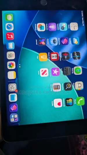 Apple iPad Mini 5 4 GB Gray