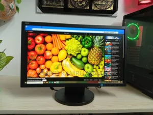 Nec L220w 22" Widescreen Monitor