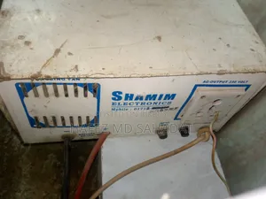 IPS 1000 Watt