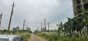Sector 17/F Road 1/A Plot