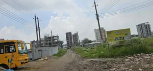 Sector 17/F Road 1/A Plot