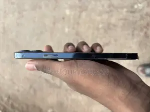 Apple iPhone 12 Pro Max 256 GB Blue