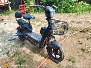 Selling Electric Bike Because I Need Money