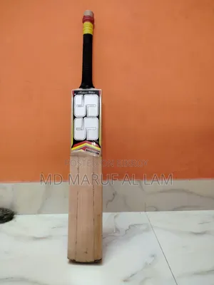 Kashmiri Willow Bat