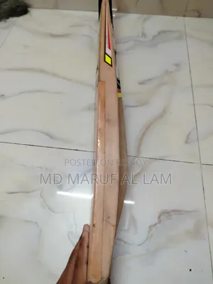 Kashmiri Willow Bat
