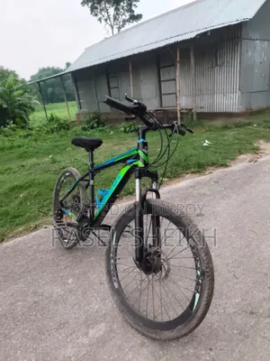 Phoenix 24 Gear Bicycle