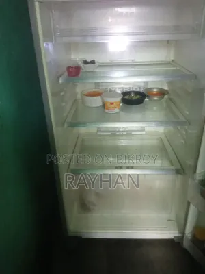 Sharp Fridge