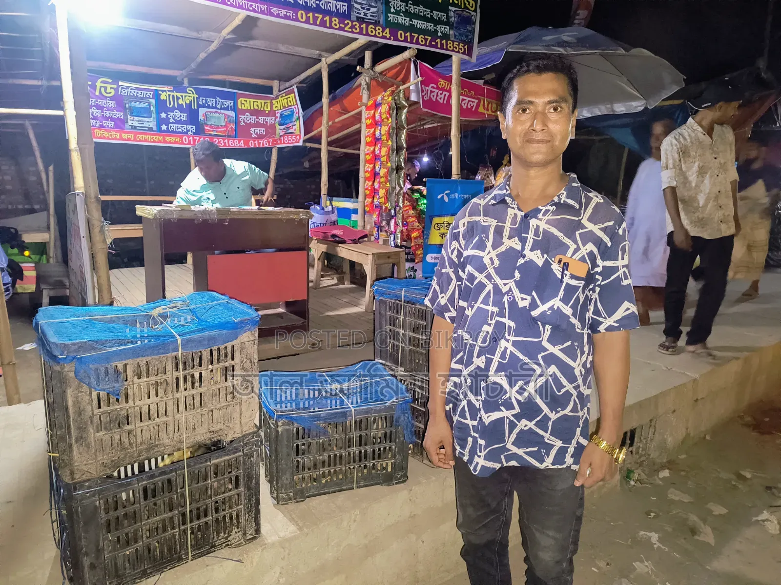 আলহামদুলিল্লাহ! নাটোরে গেলো ৯৫ টি হাঁসের বাচ্চা