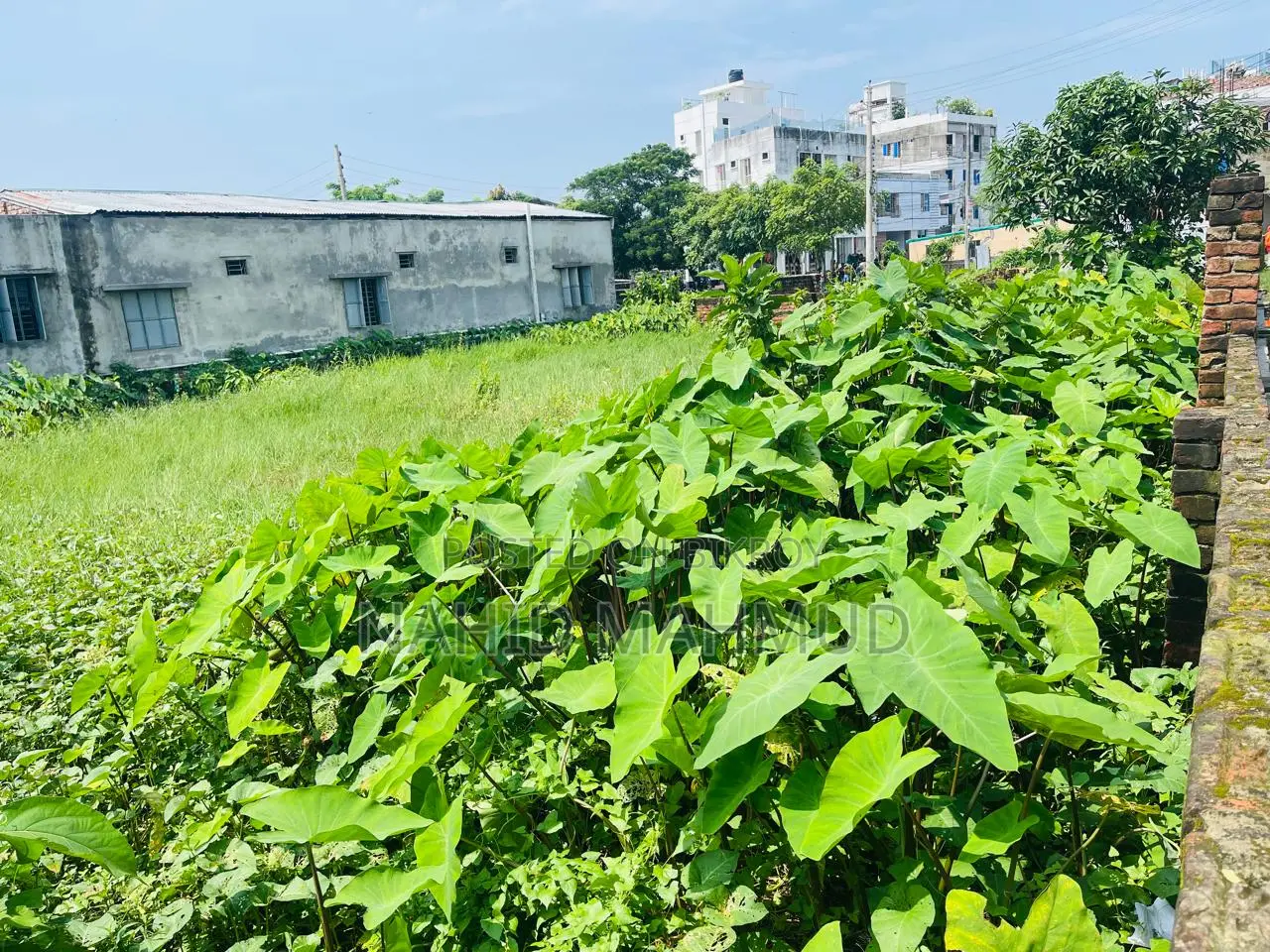 জমি বিক্রয়- সোনাডাঙা (হাফিজ নগর) ২.৫ + ২.৫= ৫ কাঠা