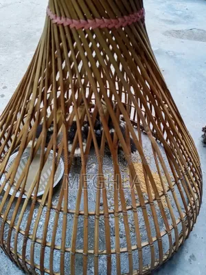 চিনা হাঁস বাচ্চা ১৫ দিনের