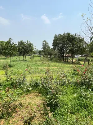 52.5 Katha Land for Sale in Birulia, Savar | Prime Investment Opportunity