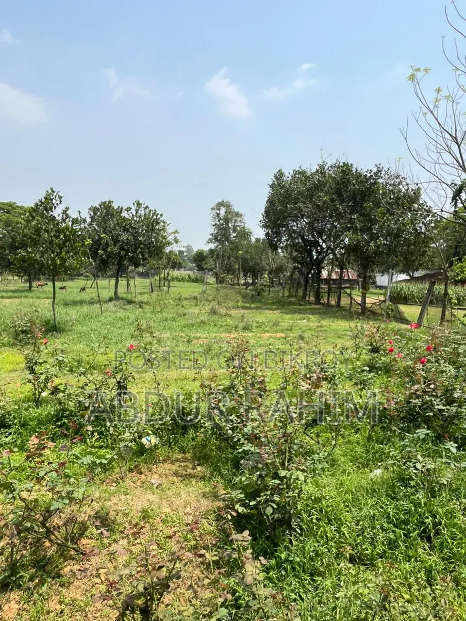 52.5 Katha Land for Sale in Birulia, Savar | Prime Investment Opportunity