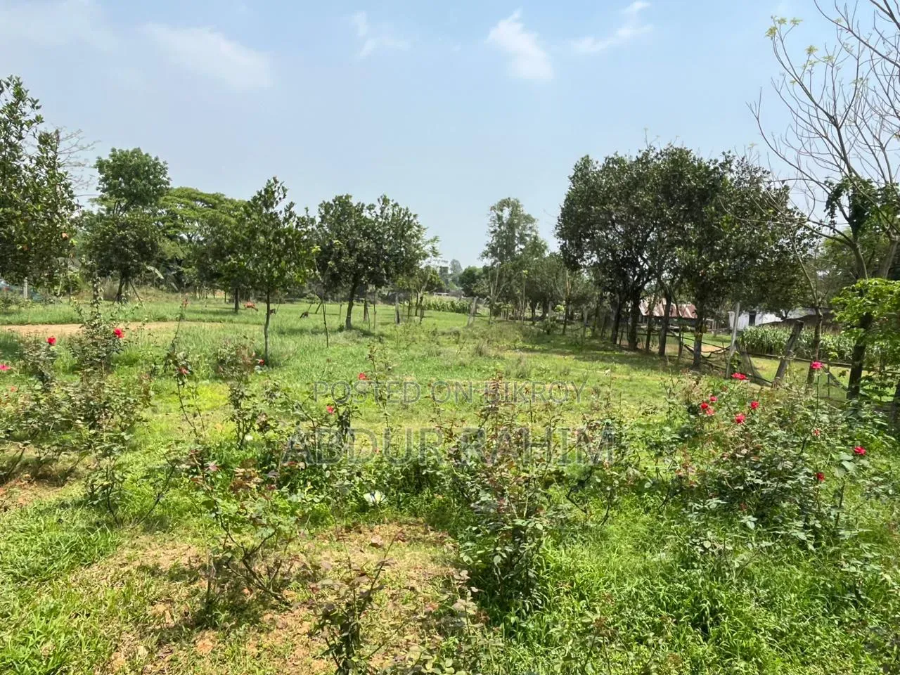 52.5 Katha Land for Sale in Birulia, Savar | Prime Investment Opportunity