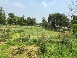 52.5 Katha Land for Sale in Birulia, Savar | Prime Investment Opportunity
