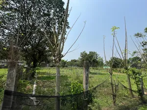 52.5 Katha Land for Sale in Birulia, Savar | Prime Investment Opportunity