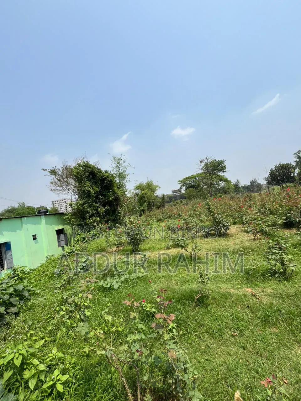 52.5 Katha Land for Sale in Birulia, Savar | Prime Investment Opportunity