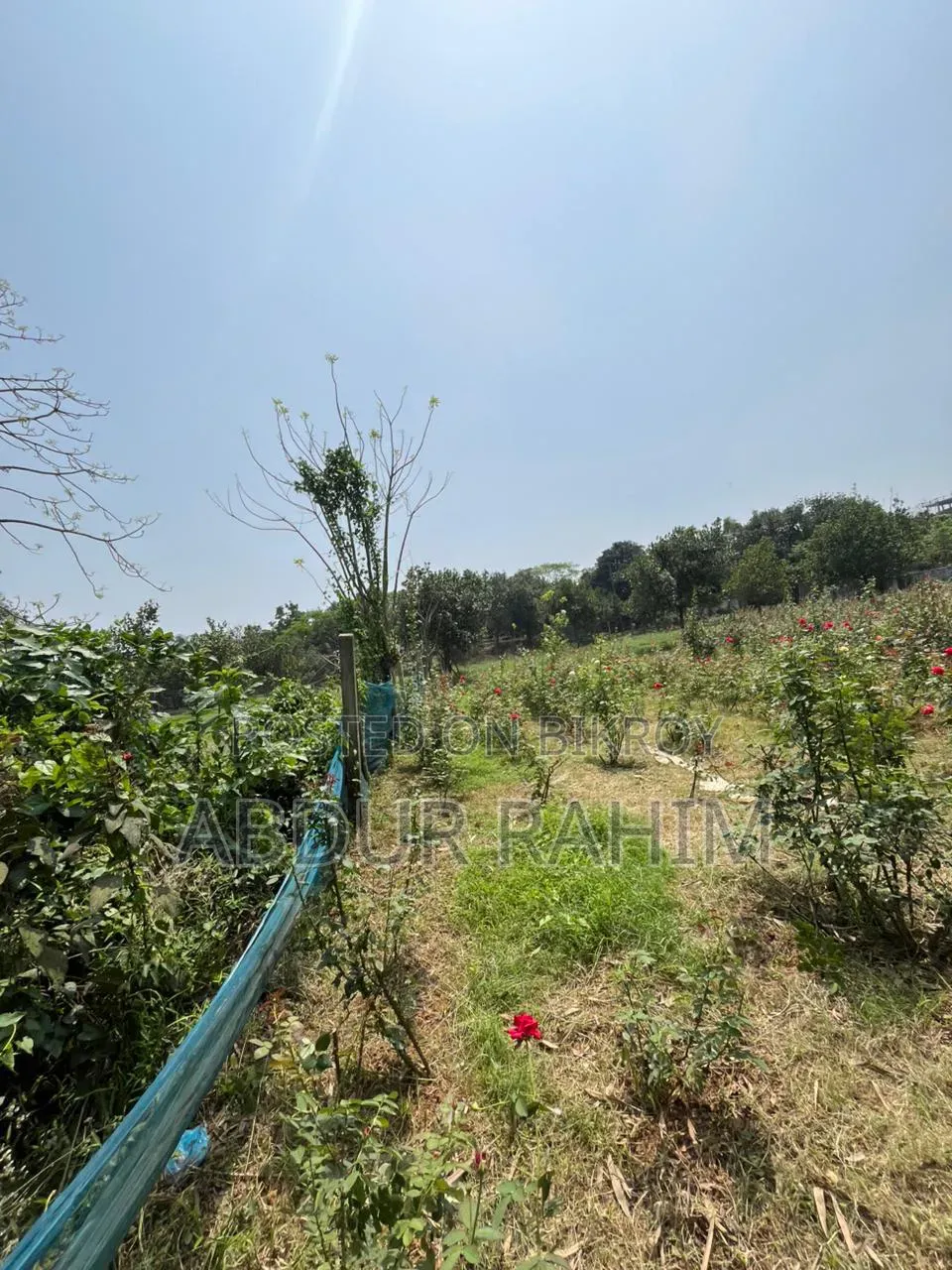 52.5 Katha Land for Sale in Birulia, Savar | Prime Investment Opportunity