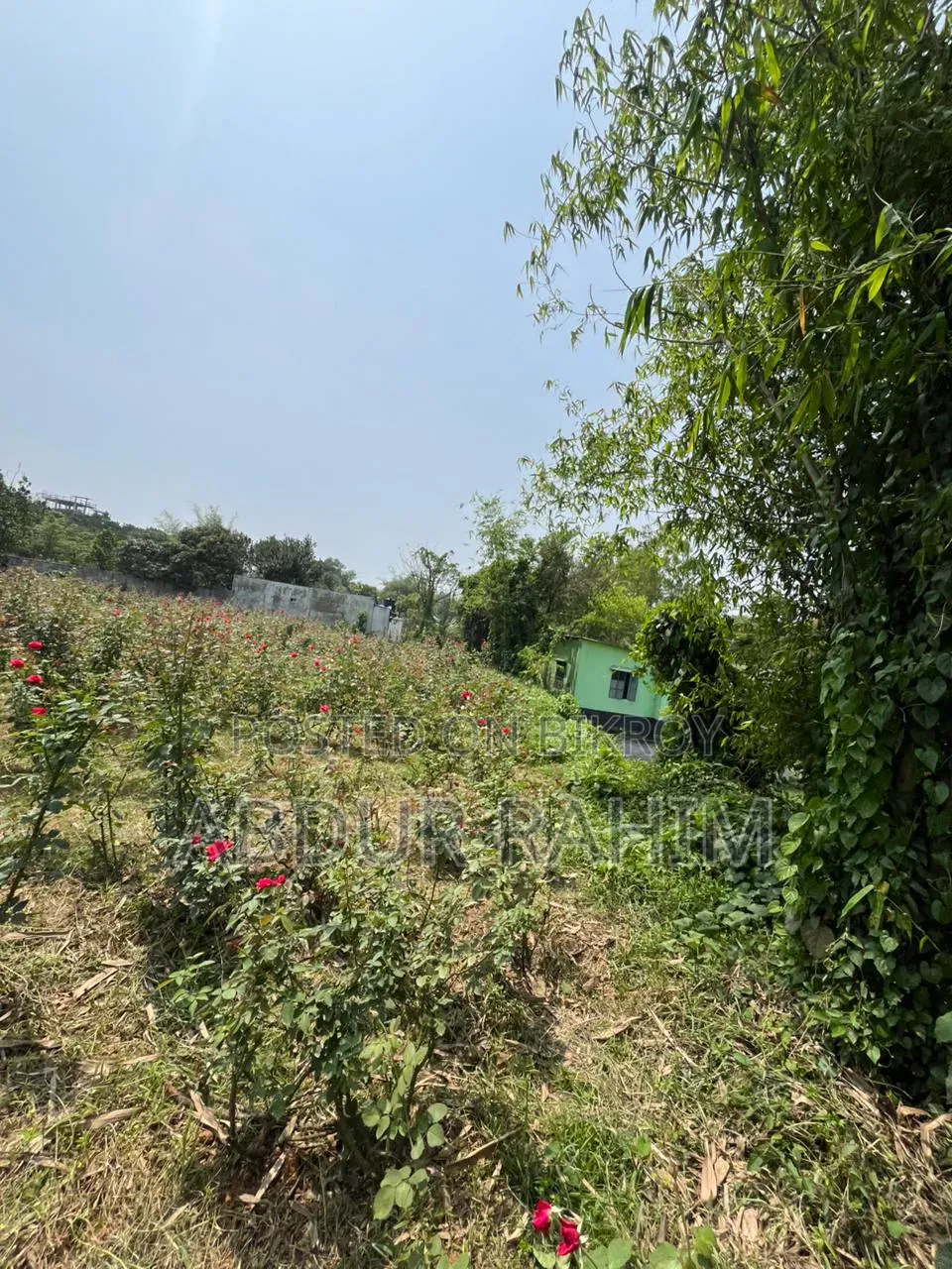 52.5 Katha Land for Sale in Birulia, Savar | Prime Investment Opportunity