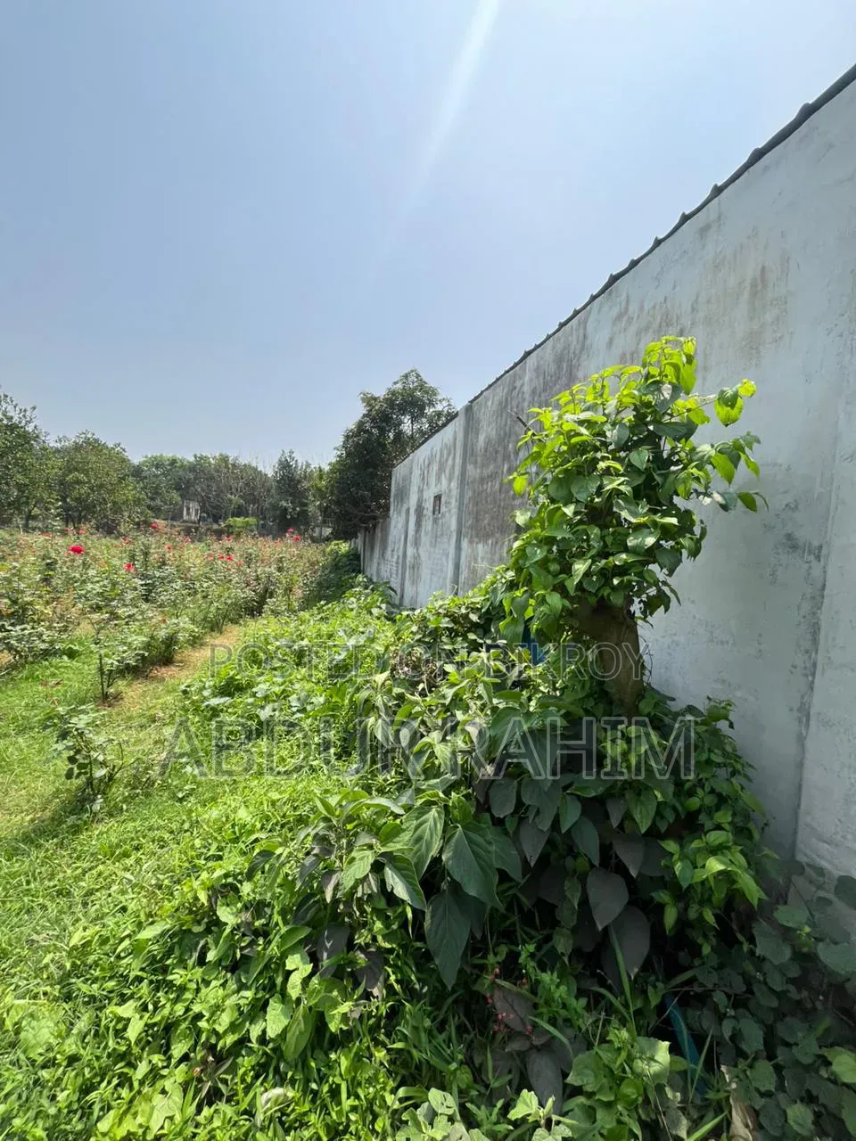 52.5 Katha Land for Sale in Birulia, Savar | Prime Investment Opportunity