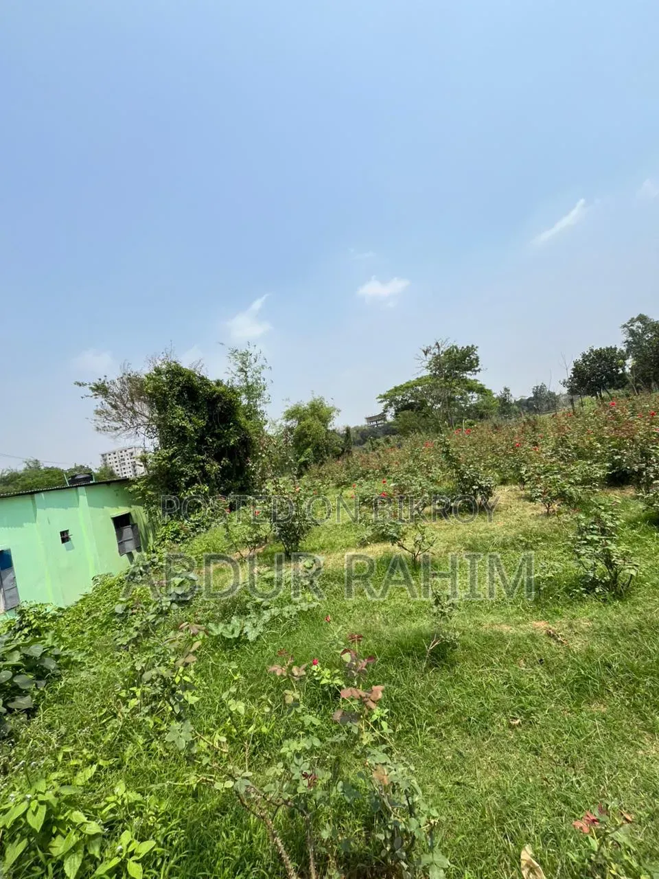 52.5 Katha Land for Sale in Birulia, Savar | Prime Investment Opportunity