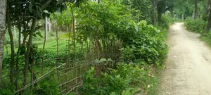 জোমিটি বিক্রি করে দেওয়া হবে