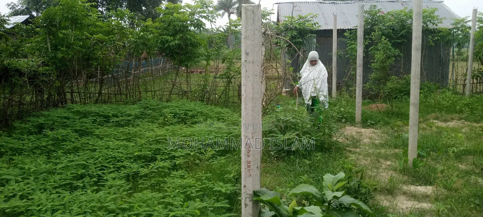 জোমিটি বিক্রি করে দেওয়া হবে